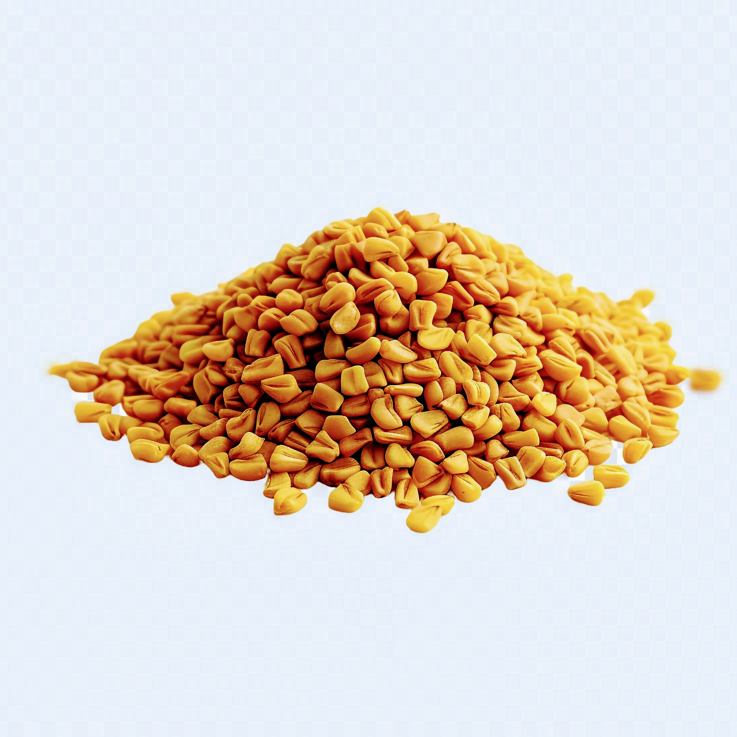 Fenugreek Seeds